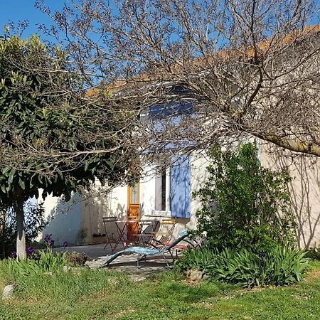 Petite Maison Refaite A Neuf Dans Mas Du 19Eme Siecle Арл Екстериор снимка